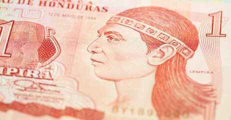 Wall Mural - Banknotes