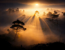 Da Lat Viet Nam Fog Sunrise Sunrays - Generative AI