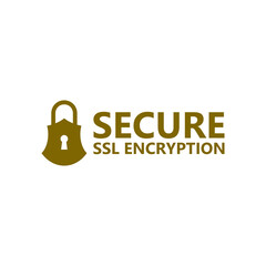 Canvas Print - SSL secure https connection icon isolated on transparent background