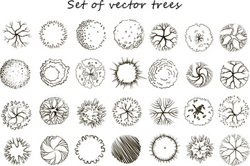 simple tree collection, top view