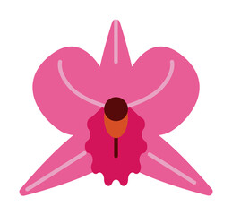 Sticker - Herb, orchid icon. Element of herb icon for mobile concept and web apps. Detailed Herb, orchid icon can be used for web and mobile on white background