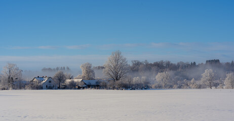 Wall Mural - cold morning in the countryside. view on the snowy field and private house between frosty trees and 