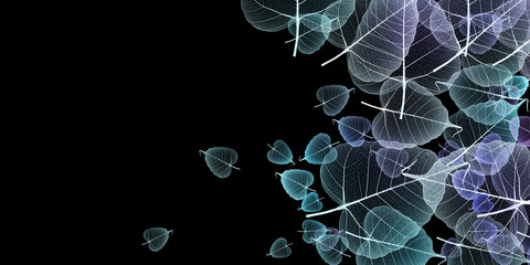 Wall Mural - leaf skeletons with veins and cells on black background