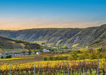 Wall Mural - Bruttig-Fankel village and steep vineyards during autumn in Cochem-Zell, Germany