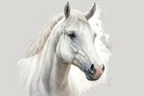 Fototapeta Konie - Watercolor illustration of a cute white horse. Farm animals, pets, wildlife. Generative AI