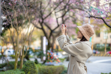 Poster - Woman use cellphone to take photo of sakura tree