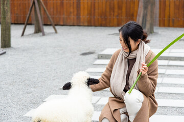 Wall Mural - Tourist feeding sheep on a farm