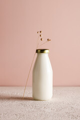 milk in bottle on beige background with plant. copy space. healthy food and lifestyle. place for tex