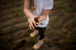 © Cavan Images - Low section of girl holding soil while standing on field