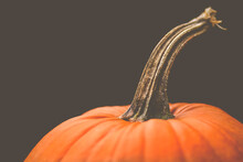 Close-up Of Pumpkin Against Colored Background