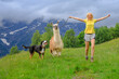 Girl running with a alpaca llama and a dog in Comino mount in Switzerland. Centovalli valley in Ticino canton. Top of Verdasio-Monte Comino cable car station.