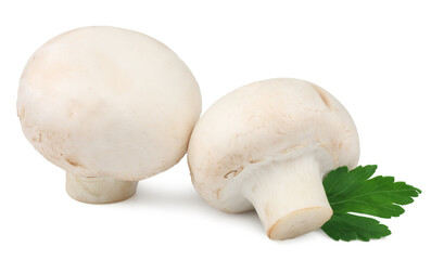 Wall Mural - Mushrooms isolated on a white background