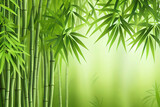 Fototapeta Fototapety do sypialni na Twoją ścianę - Green bamboo background fresh leaves on tree as nature ecology and environment concept. Generative Ai