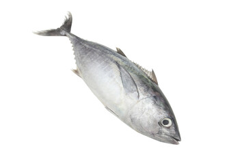 Wall Mural - Raw tuna isolated on white background.