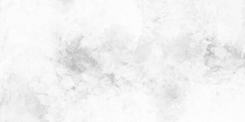 Wall Mural - Abstract grunge grey and white watercolor background. Grey and white watercolor banner, template for design.