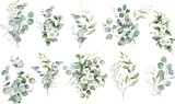 Fototapeta  - Watercolor eucalyptus bouquet set. Greenery branches and jasmine flowers clipart. Green foliage arrangement for wedding, stationery, invitations, cards. Illustration isolated on transparent background