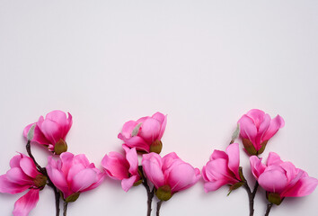 Branch with pink magnolia flowers on a white background, top view