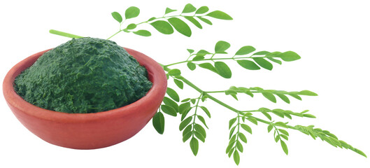 Sticker - Edible moringa leaves with ground paste