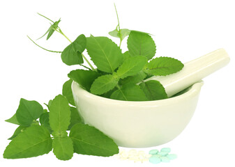 Canvas Print - Medicinal herbs with mortar and pestle