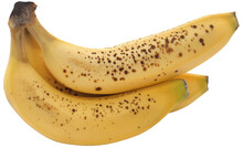 Spotted Banana