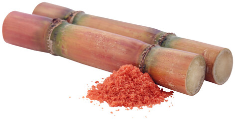 Poster - Piece of sugarcane with brown sugar