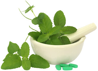 Poster - Medicinal herbs on mortar with pestle and pills