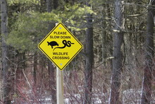 Wildlife Crossing Sign 