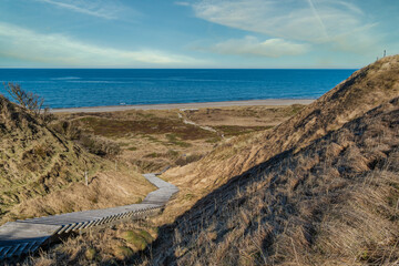 Wall Mural - Svinkllovene dunes at the North Sea coast in Thy Denmark