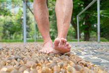Barefoot Old Man Stepping On Stones,foot Reflexology At The Park.concept Of Foot Massage For Increase Blood Circulation In Elderly,relief For Tired And Sore Feet