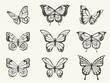 © ONYXprj - Hand drawn butterfly set. Vintage butterflies sketch, moths insects retro sketches with open wings