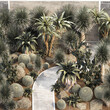 3D illustration Collection of desert plants from Dracaena and Yucca Cactus