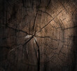 Stump of tree felled - section of the trunk with annual rings. Slice wood. Macro photo.