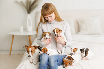 Young woman with her cute Jack Russell Terrier in a chair at home. white pet