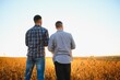 © Serhii - Two farmers in a field examining soy crop at sunset