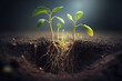 © retbool - a young plant with roots sprouts in the ground,green vegetable sprouts grow in the soil, Generative AI