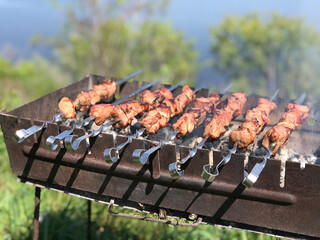 cooking kebab at barbecue grill