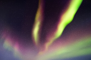 Sticker - dark night starry sky. northern lights. purple green aurora borealis