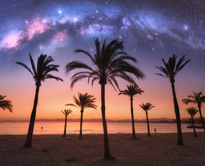 Wall Mural - milky way over the sandy beach with palms at night in summer. landscape with sea shore, beautiful st