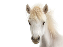 Baby Horse Portrait. Generative AI Illustration