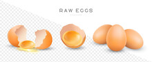 Raw Chicken Eggs Vector Isolated Illustration. Whole And Broken Brown Fresh Eggs. Yolk In Eggshell