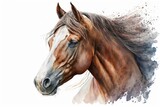 Fototapeta Konie - A watercolor picture of the head of a horse on a white background. Paints of animals. Generative AI