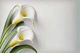 Calla Lily Flowers Design With Copyspace Generative AI