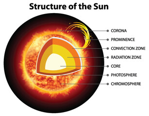 Canvas Print - The Structure of the Sun