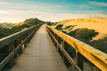 A Long Wooden Boardwalk Seems To Stretch To Infinity. Walkway Through Sand Dunes And Native Forest Leading To The Beach. Oceano, California