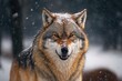 Angry wolf (Canis lupus) with a grin in winter. Generative AI