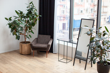 Interior detail. An armchair by the window and a large green plant in a tub. Calm tones. Interior items. Mirror.