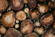 Close-up Of Stacked Logs
