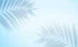 blurry summer background with shadows from palm leaves on a light blue background