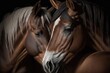 Close up of two brown horses cuddling and putting their heads together. Generative AI