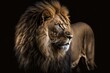 A picture of a big, handsome male African lion on a black background. Generative AI